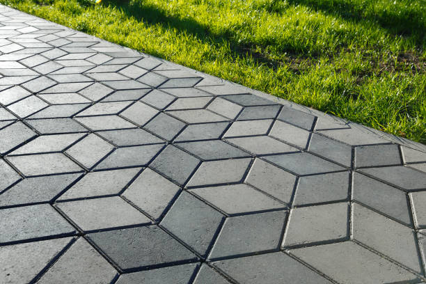 Best Driveway Paving Contractor  in Coral Terrace, FL