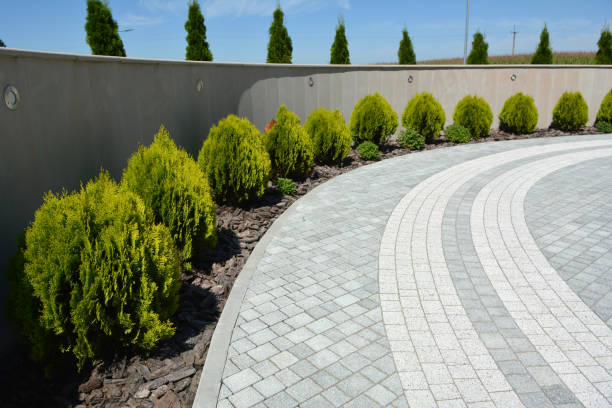 Reliable Coral Terrace, FL Driveway Pavers Solutions